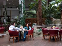 кафе - фотогалерея на RCC-TRAVEL.RU кафе - фотогалерея на RCC-TRAVEL.RU