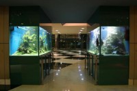 интерьер - фотогалерея на RCC-TRAVEL.RU интерьер - фотогалерея на RCC-TRAVEL.RU