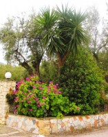 сад - фотогалерея на RCC-TRAVEL.RU сад - фотогалерея на RCC-TRAVEL.RU