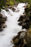 природа - фотогалерея на RCC-TRAVEL.RU природа - фотогалерея на RCC-TRAVEL.RU