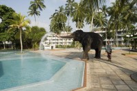 бассейн - фотогалерея на RCC-TRAVEL.RU бассейн - фотогалерея на RCC-TRAVEL.RU