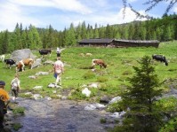 природа - фотогалерея на RCC-TRAVEL.RU природа - фотогалерея на RCC-TRAVEL.RU