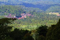 ��� - ����������� �� RCC-TRAVEL.RU