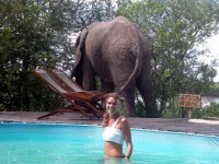 бассейн - фотогалерея на RCC-TRAVEL.RU бассейн - фотогалерея на RCC-TRAVEL.RU