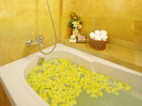 ������ ������� - ����������� �� RCC-TRAVEL.RU