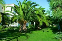 вид отеля - фотогалерея на RCC-TRAVEL.RU вид отеля - фотогалерея на RCC-TRAVEL.RU