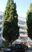 ����� ��� - ����������� �� RCC-TRAVEL.RU