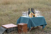 пикник safari - фотогалерея на RCC-TRAVEL.RU пикник safari - фотогалерея на RCC-TRAVEL.RU