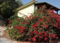 ��� - ����������� �� RCC-TRAVEL.RU