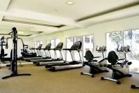 тренажерный зал - фотогалерея на RCC-TRAVEL.RU тренажерный зал - фотогалерея на RCC-TRAVEL.RU
