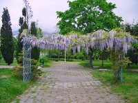 территория - фотогалерея на RCC-TRAVEL.RU территория - фотогалерея на RCC-TRAVEL.RU