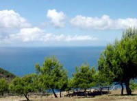 ���������� ����� - ����������� �� RCC-TRAVEL.RU