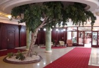 холл - фотогалерея на RCC-TRAVEL.RU холл - фотогалерея на RCC-TRAVEL.RU