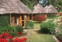 общий вид - фотогалерея на RCC-TRAVEL.RU общий вид - фотогалерея на RCC-TRAVEL.RU