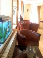 лобби - фотогалерея на RCC-TRAVEL.RU лобби - фотогалерея на RCC-TRAVEL.RU