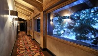 �����  ��� - ����������� �� RCC-TRAVEL.RU