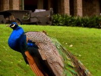 ������� ����� - ����������� �� RCC-TRAVEL.RU