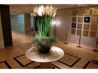 интерьер отеля - фотогалерея на RCC-TRAVEL.RU интерьер отеля - фотогалерея на RCC-TRAVEL.RU