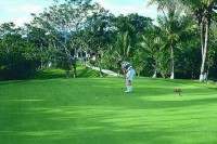 �����  - ����������� �� RCC-TRAVEL.RU