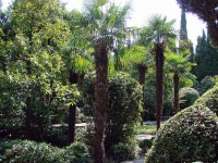 ���������� - ����������� �� RCC-TRAVEL.RU