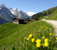 природа - фотогалерея на RCC-TRAVEL.RU природа - фотогалерея на RCC-TRAVEL.RU