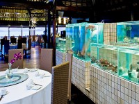 ресторан - фотогалерея на RCC-TRAVEL.RU ресторан - фотогалерея на RCC-TRAVEL.RU