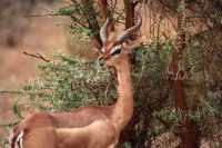 ������� ����� - ����������� �� RCC-TRAVEL.RU