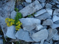 вид - фотогалерея на RCC-TRAVEL.RU вид - фотогалерея на RCC-TRAVEL.RU