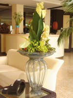 холл - фотогалерея на RCC-TRAVEL.RU холл - фотогалерея на RCC-TRAVEL.RU