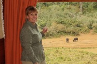 вид из отеля - фотогалерея на RCC-TRAVEL.RU вид из отеля - фотогалерея на RCC-TRAVEL.RU