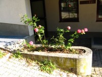  -   RCC-TRAVEL.RU