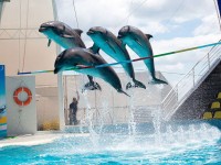 ����������� - ����������� �� RCC-TRAVEL.RU