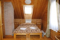 сосна - фотогалерея на RCC-TRAVEL.RU сосна - фотогалерея на RCC-TRAVEL.RU