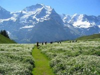 природа - фотогалерея на RCC-TRAVEL.RU природа - фотогалерея на RCC-TRAVEL.RU