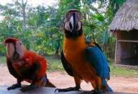 ��� - ����������� �� RCC-TRAVEL.RU