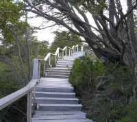 лестница - фотогалерея на RCC-TRAVEL.RU лестница - фотогалерея на RCC-TRAVEL.RU