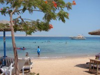  -   RCC-TRAVEL.RU