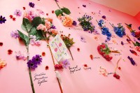 вид - фотогалерея на RCC-TRAVEL.RU вид - фотогалерея на RCC-TRAVEL.RU