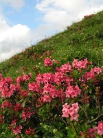 ������� - ����������� �� RCC-TRAVEL.RU