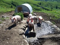 вид - фотогалерея на RCC-TRAVEL.RU вид - фотогалерея на RCC-TRAVEL.RU