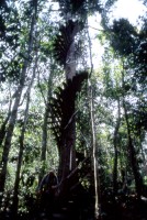 ������� - ����������� �� RCC-TRAVEL.RU