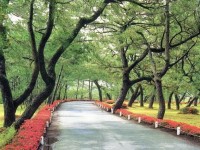 ���������� - ����������� �� RCC-TRAVEL.RU