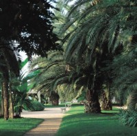 территория отеля - фотогалерея на RCC-TRAVEL.RU территория отеля - фотогалерея на RCC-TRAVEL.RU