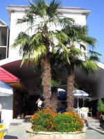 общий вид - фотогалерея на RCC-TRAVEL.RU общий вид - фотогалерея на RCC-TRAVEL.RU