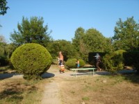 Территория санатория - фотогалерея на RCC-TRAVEL.RU Территория санатория - фотогалерея на RCC-TRAVEL.RU