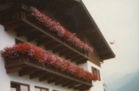 вид отеля - фотогалерея на RCC-TRAVEL.RU вид отеля - фотогалерея на RCC-TRAVEL.RU