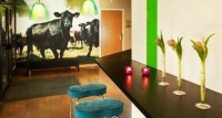  -   RCC-TRAVEL.RU