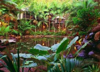   -   RCC-TRAVEL.RU