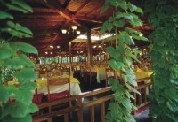 ресторан - фотогалерея на RCC-TRAVEL.RU ресторан - фотогалерея на RCC-TRAVEL.RU