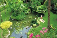 ����� ��� - ����������� �� RCC-TRAVEL.RU